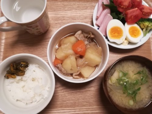 肉じゃが、サラダ