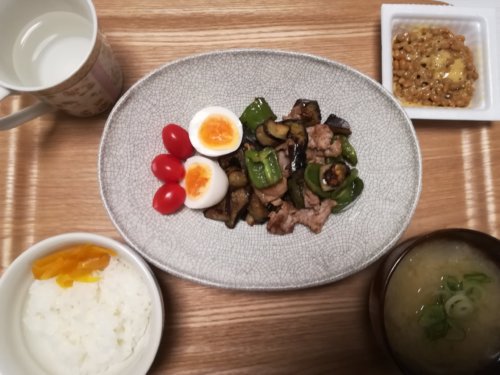なすとピーマンと豚肉の炒め物