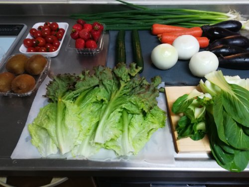 洗った野菜